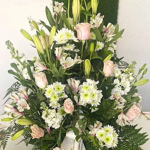 Centro funeral Rosa